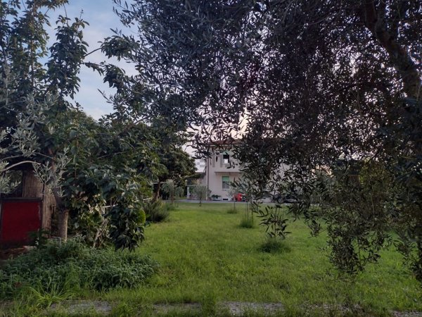 appartamento in vendita a Pietrasanta in zona Strettoia