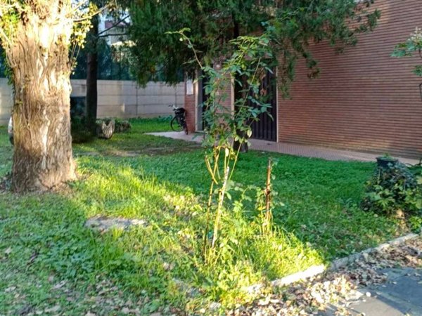 locale commerciale in vendita a Pietrasanta