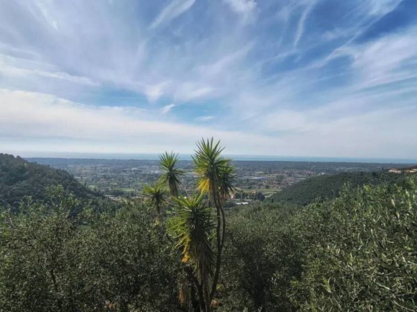 terreno agricolo in vendita a Pietrasanta in zona Capezzano Monte
