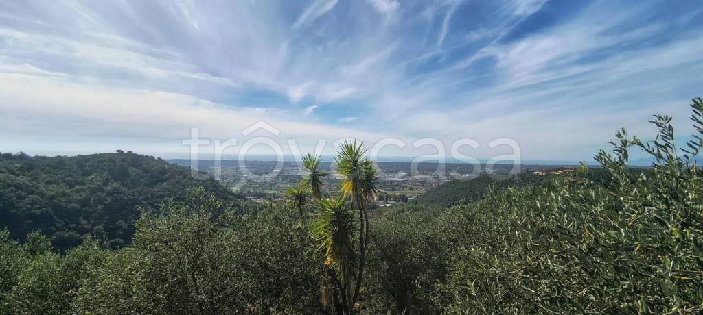 casa indipendente in vendita a Pietrasanta in zona Capezzano Monte