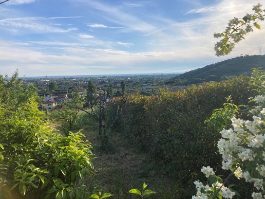 casa indipendente in vendita a Pietrasanta