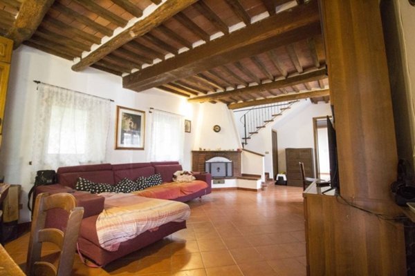 casa indipendente in vendita a Pietrasanta in zona Traversagna