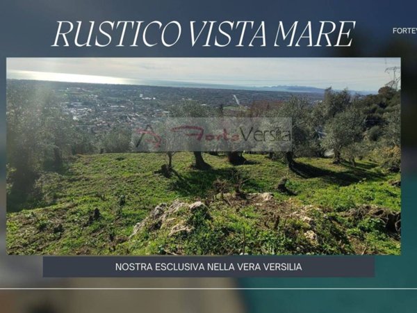 casale in vendita a Pietrasanta in zona Capriglia