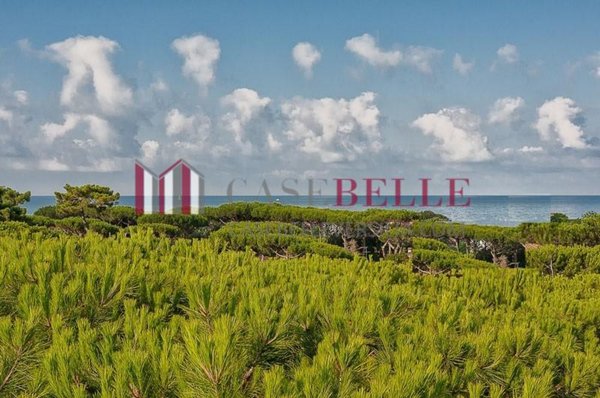 attico in vendita a Pietrasanta in zona Focette