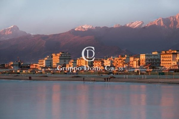 negozio in vendita a Pietrasanta in zona Tonfano