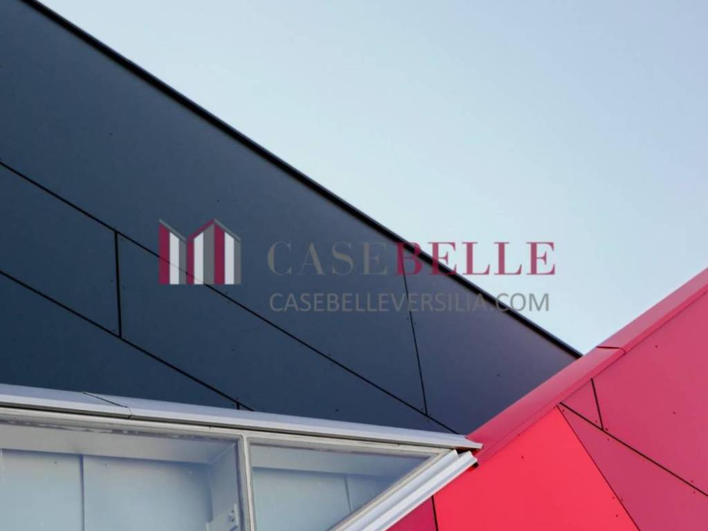 terreno agricolo in vendita a Pietrasanta