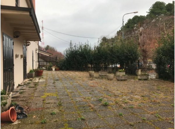 negozio in vendita a Pietrasanta