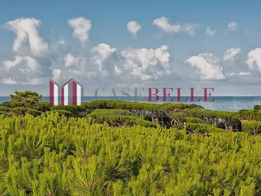 attico in vendita a Pietrasanta in zona Focette