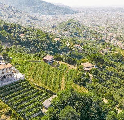 appartamento in vendita a Pietrasanta in zona Strettoia