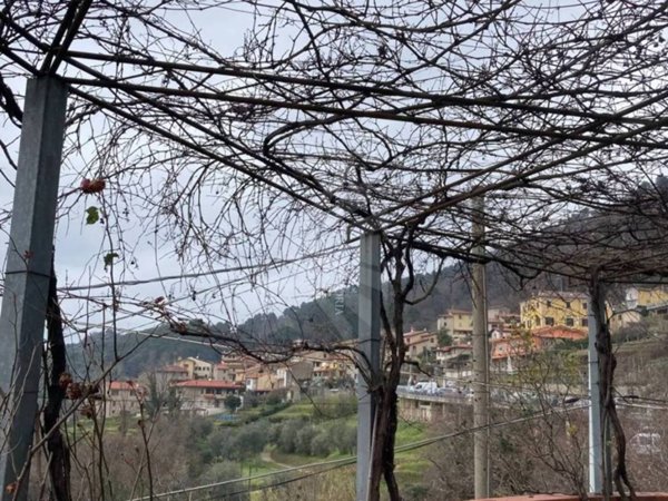 casa indipendente in vendita a Pietrasanta in zona Capezzano Monte