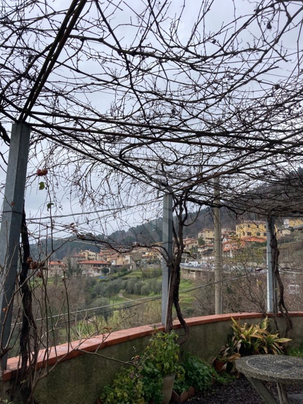 casa indipendente in vendita a Pietrasanta in zona Capezzano Monte