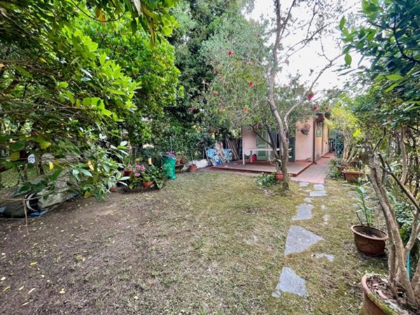 casa indipendente in vendita a Pietrasanta in zona Fiumetto