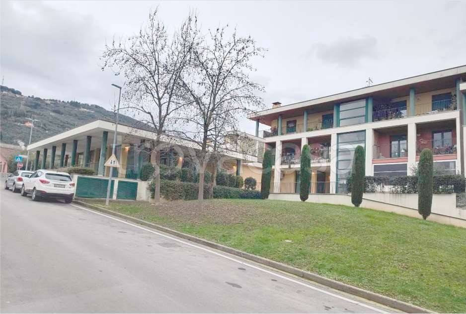 appartamento in vendita a Pietrasanta in zona Vallecchia