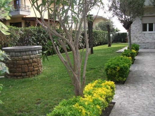 casa indipendente in vendita a Pietrasanta in zona Fiumetto