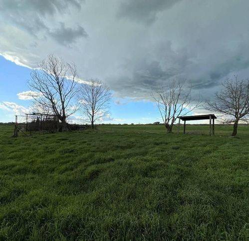 terreno agricolo in vendita a Pietrasanta in zona Marina di Pietrasanta