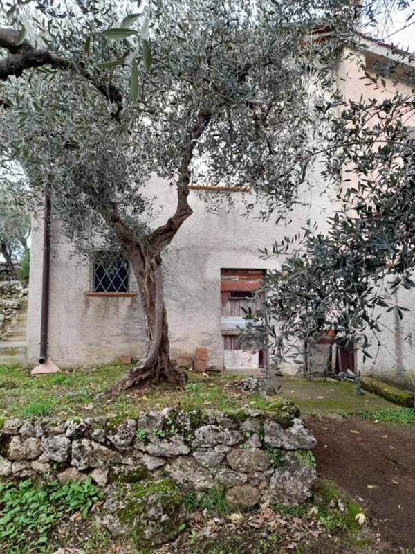 terreno agricolo in vendita a Pietrasanta in zona Capezzano Monte