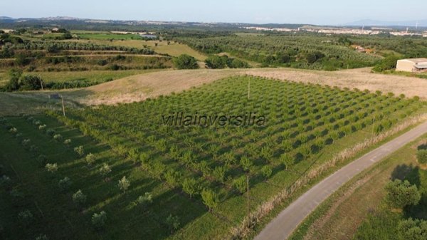 casa indipendente in vendita a Pietrasanta in zona Tonfano