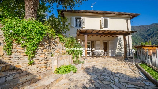 casa indipendente in vendita a Pietrasanta in zona Strettoia