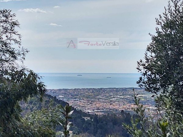 casa indipendente in vendita a Pietrasanta in zona Solaio