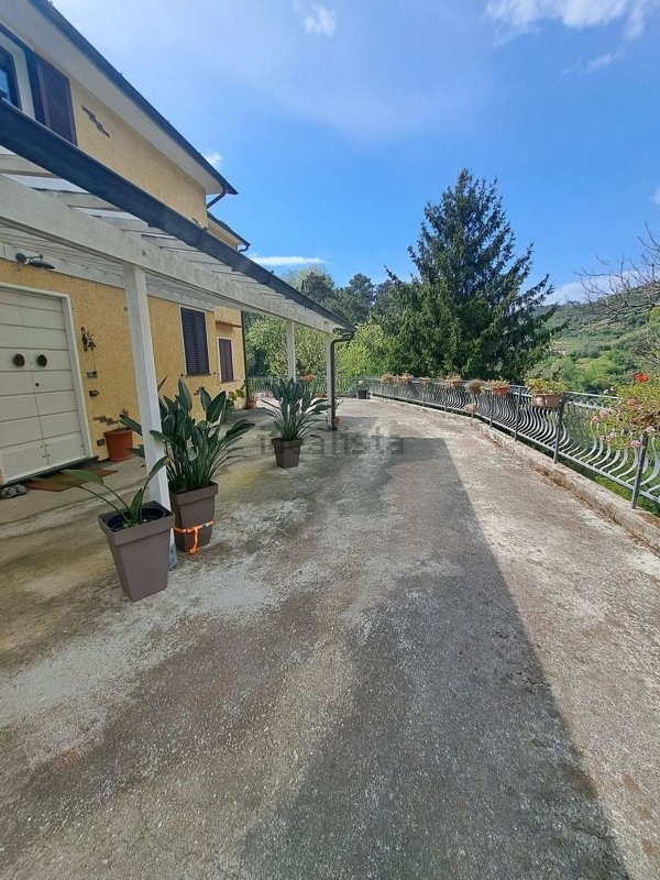 esavano in vendita a Pietrasanta