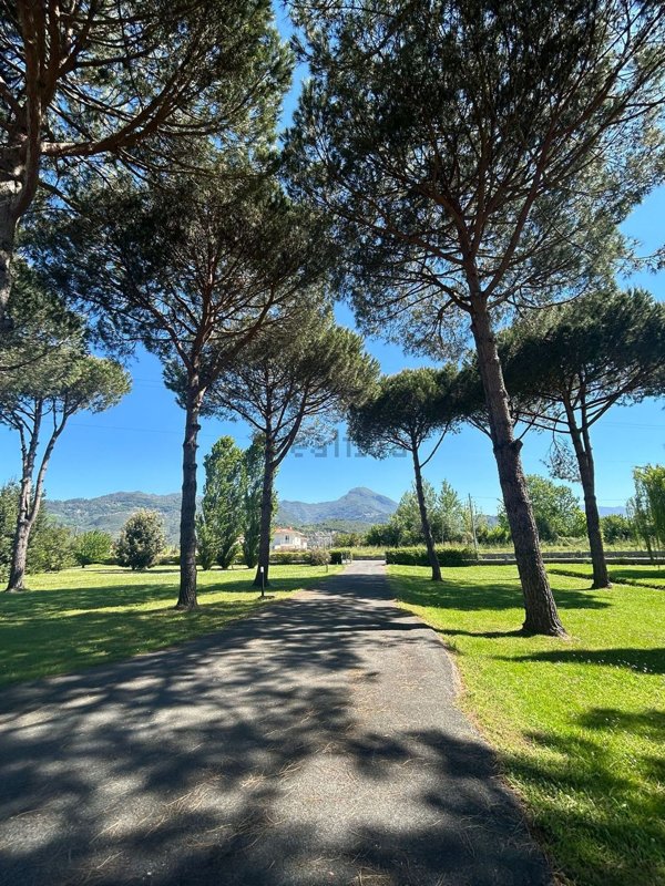 casa indipendente in vendita a Pietrasanta