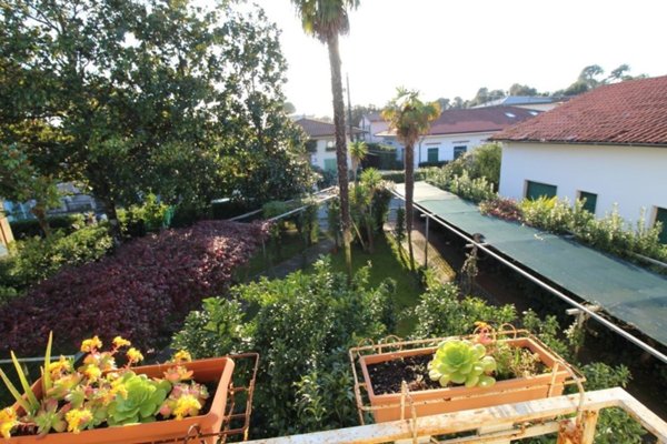 casa indipendente in vendita a Pietrasanta in zona Fiumetto