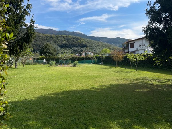 terreno agricolo in vendita a Pietrasanta in zona Strettoia