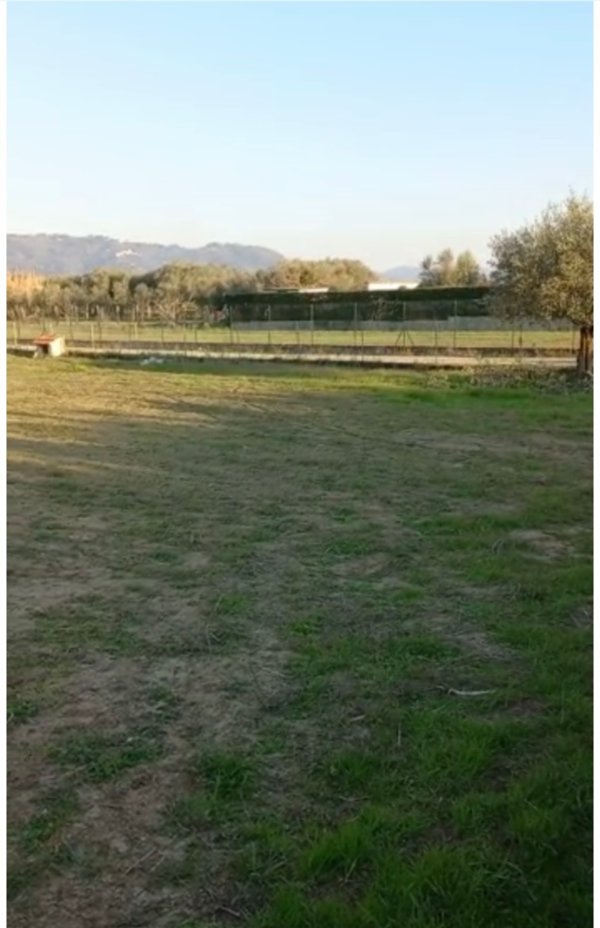 terreno agricolo in vendita a Pietrasanta