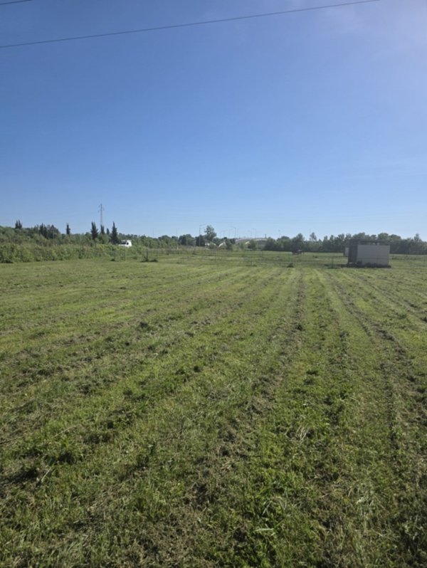 terreno agricolo in vendita a Pietrasanta in zona Capezzano Monte