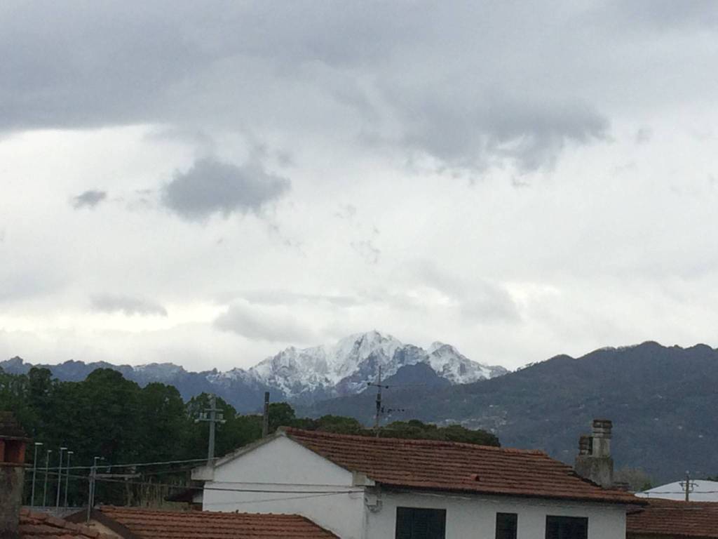 casa indipendente in vendita a Pietrasanta in zona Marina di Pietrasanta