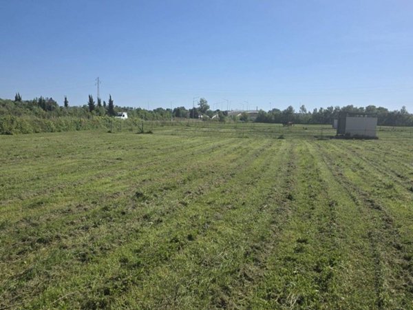 terreno agricolo in vendita a Pietrasanta