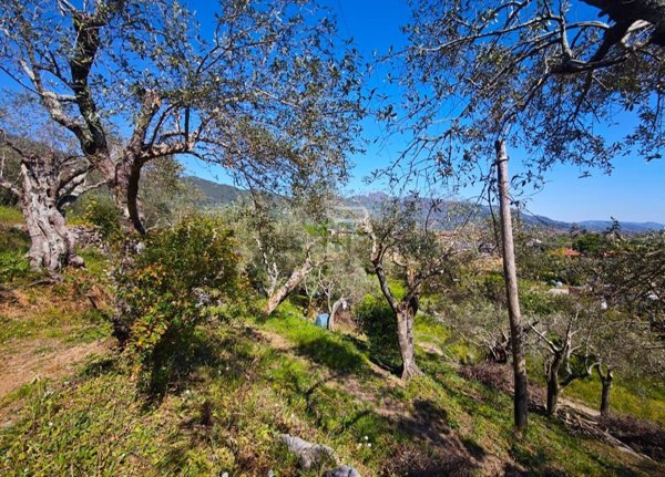 terreno agricolo in vendita a Pietrasanta in zona Strettoia