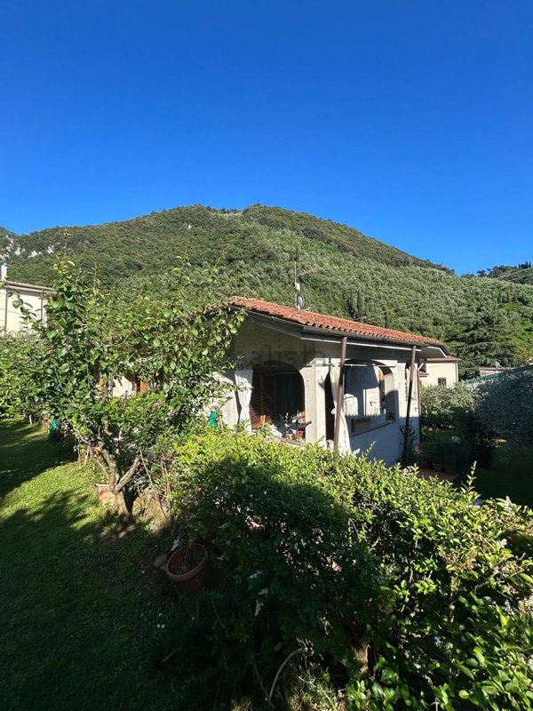 casa indipendente in vendita a Pietrasanta in zona Valdicastello