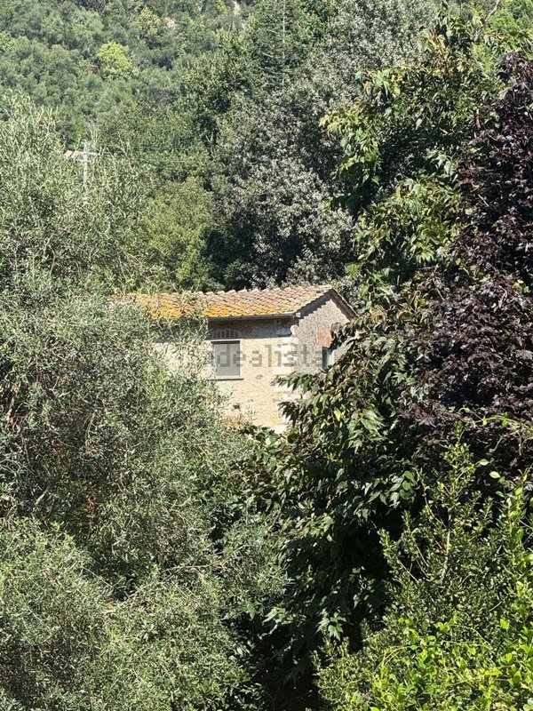 appartamento in vendita a Pietrasanta