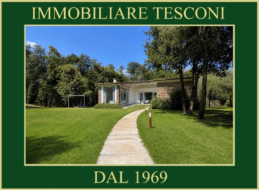 casa indipendente in vendita a Pietrasanta in zona Motrone