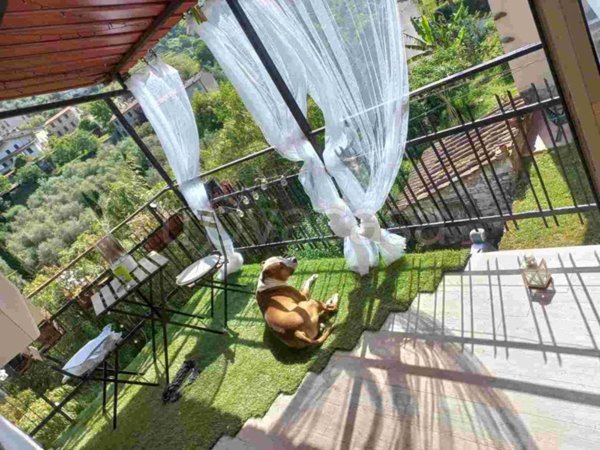 appartamento in vendita a Pietrasanta in zona Solaio