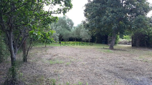 terreno edificabile in vendita a Pietrasanta
