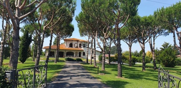 casa indipendente in vendita a Pietrasanta in zona Marina di Pietrasanta