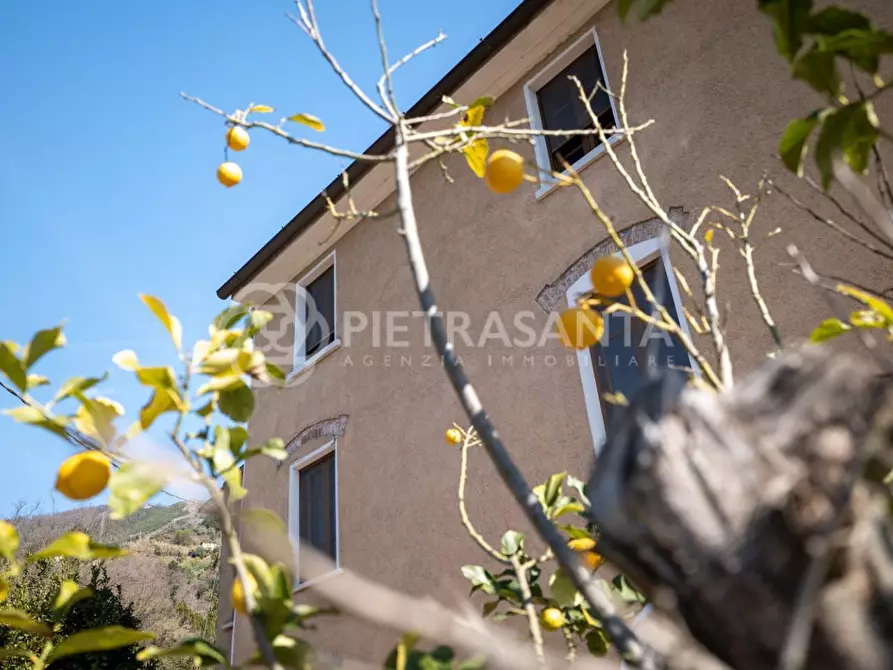 casa indipendente in vendita a Pietrasanta in zona Capezzano Monte