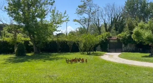 casa indipendente in vendita a Pietrasanta
