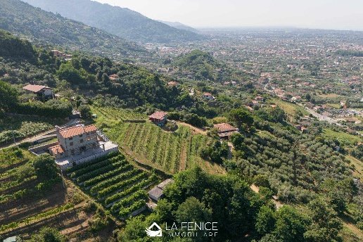 appartamento in vendita a Pietrasanta in zona Osterietta