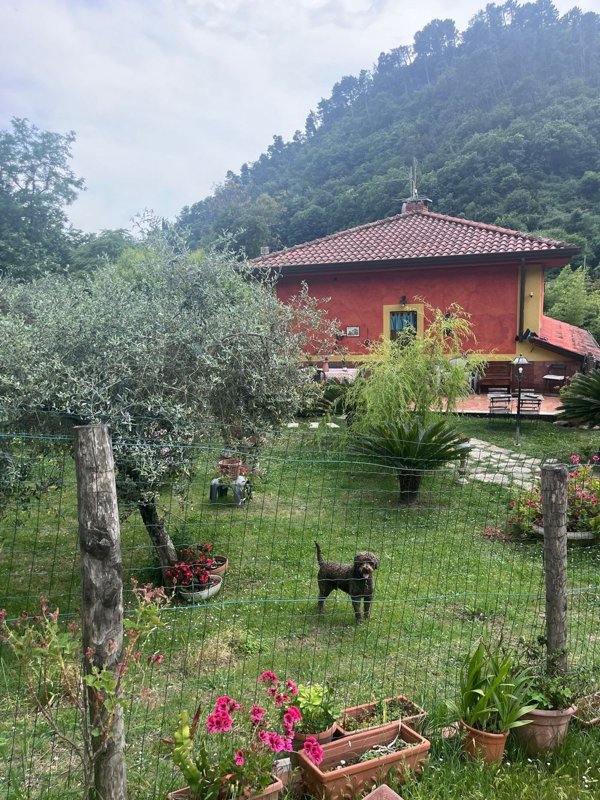 casa indipendente in vendita a Pietrasanta in zona Strettoia
