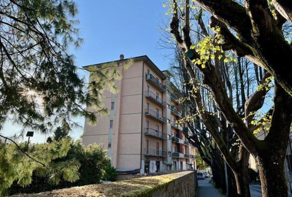 appartamento in vendita a Pietrasanta in zona Capezzano Monte