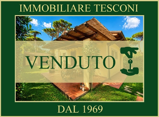 casa indipendente in vendita a Pietrasanta in zona Vignone