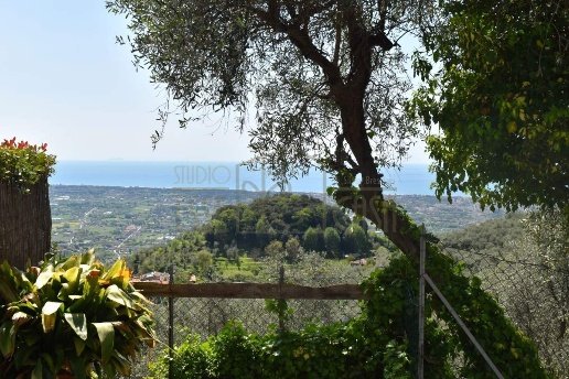 casa indipendente in vendita a Pietrasanta in zona Capezzano