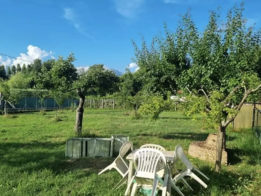 terreno agricolo in vendita a Pietrasanta