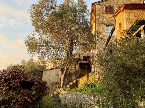 casa indipendente in vendita a Pietrasanta in zona Capezzano Monte