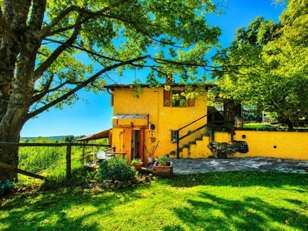 casa indipendente in vendita a Pietrasanta in zona Capezzano