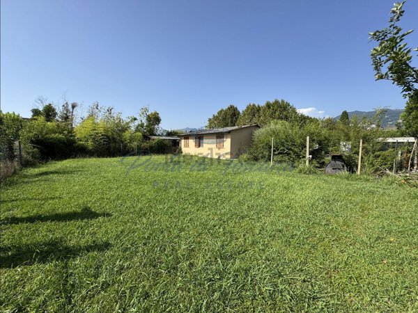 casa indipendente in vendita a Pietrasanta in zona Africa