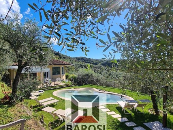 casa indipendente in vendita a Pietrasanta in zona Capezzano Monte